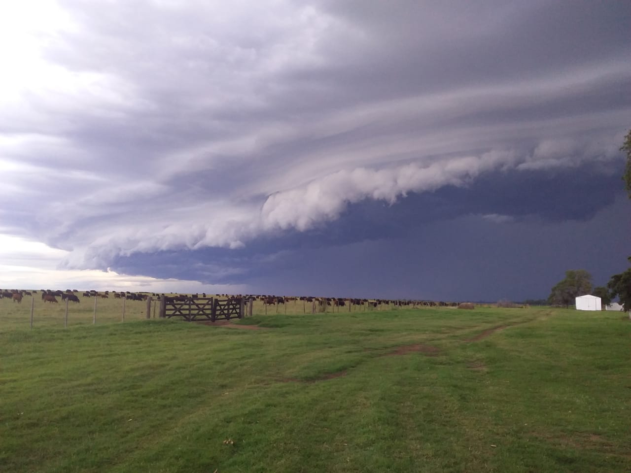 Mirá los registros de lluvia de las últimas horas en el norte de La Pampa: En General Pico cayeron 5 mm