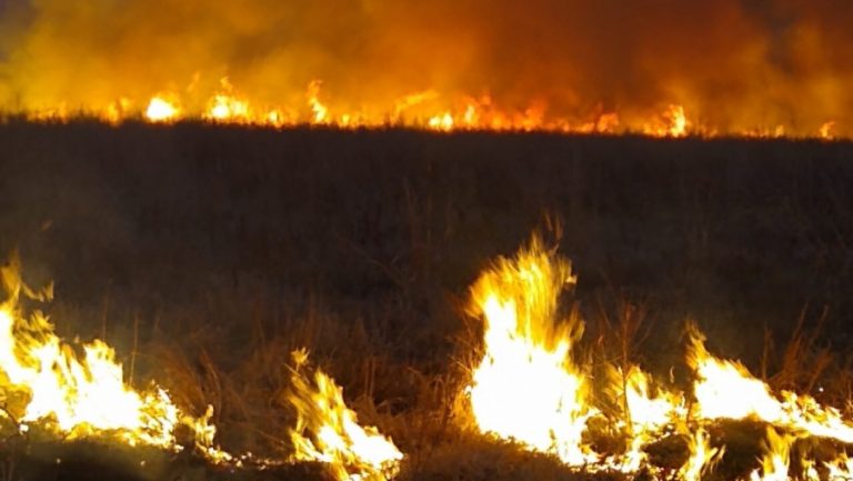 Brigadistas contuvieron incendio en cercanías de Cuchillo Có