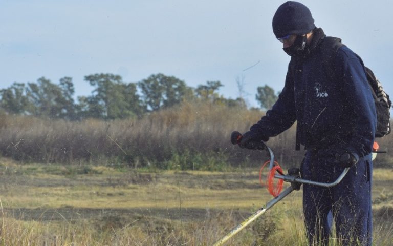 Recuerdan la importancia de mantener terrenos y patios limpios para prevenir la proliferación de roedores o alimañas