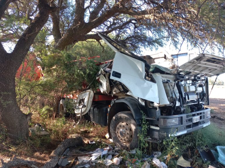 Ruta 35: Un camionero se despistó, chocó contra un árbol y murió
