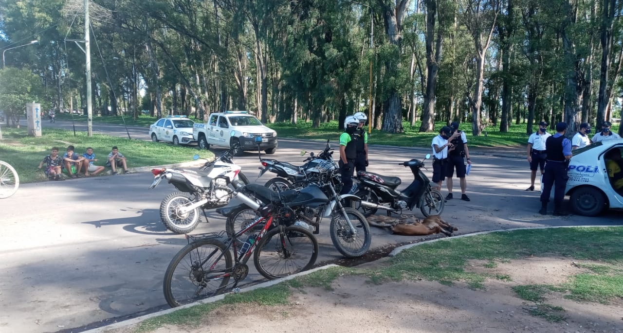 La Policía demoró a cuatro hombres que iban en moto con tres terneros por Ruta 1 2 WhatsApp Image 2022 02 24 at 21.05.54