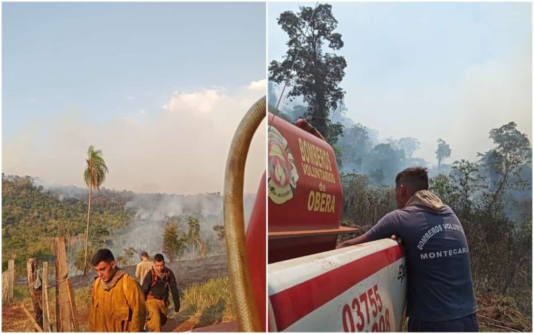 Incendios en Misiones: “Ayer se dieron por finalizadas las tareas en todos los focos que teníamos en la provincia”, aseguró el jefe de Bomberos de Oberá