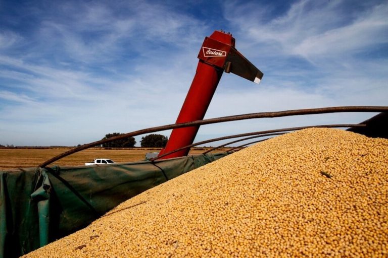 Suspendieron las exportaciones de harina y aceite de soja