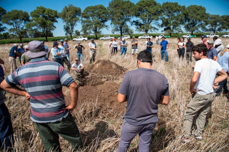 Programa de implantación y renovación de pasturas perennes y del cultivo de maní