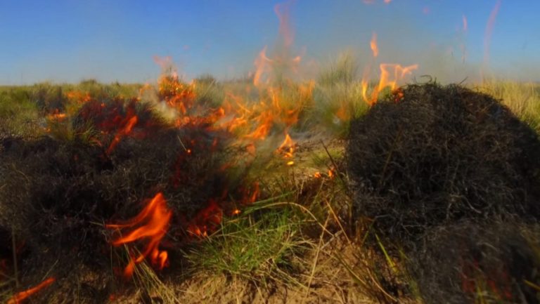La Pampa habilitó la temporada de quemas prescriptas