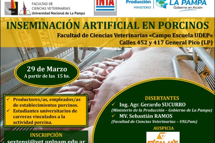 El INTA dictará un curso gratis donde enseñará a construir hornos de barro  y estufas a leña de alta eficiencia – infopico.com