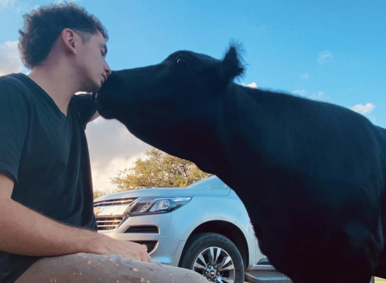Facundo le salvó la vida a una ternerita que ahora es su mascota: “Es mi perro vaca”