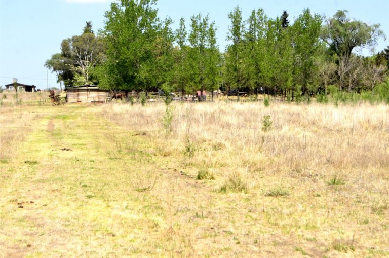 La Pampa adjudicará terrenos a familias que puedan enfrentar con recursos propios la construcción de su casa