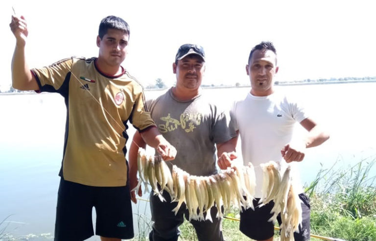 Exitosa siembra de alevines de pejerrey en la Laguna de General Pico: “Hoy se ven los resultados”