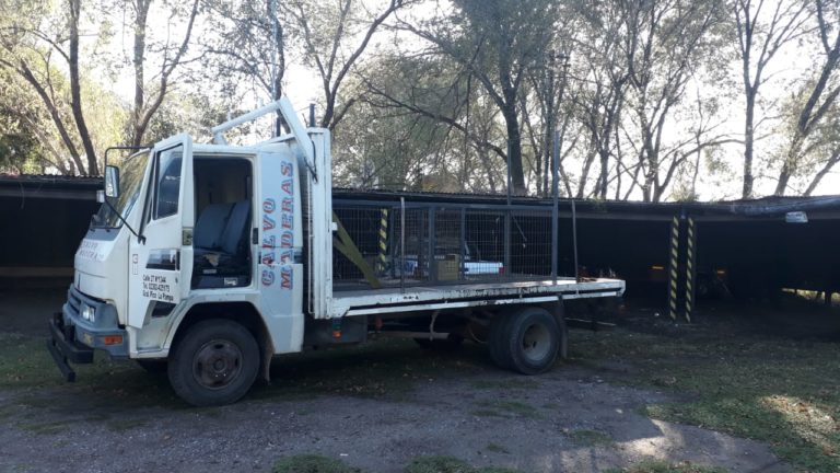 Colocan una jaula para atrapar a un puma que estaría suelto en el ex vivero Williamson: “No tenemos precisiones de que realmente esté aquí, veremos qué resultados da”