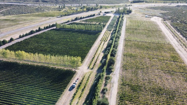 Hasta el 29 de abril continúa vigente la línea financiera para el sector frutícola con tasa bonificada por el Gobierno provincial