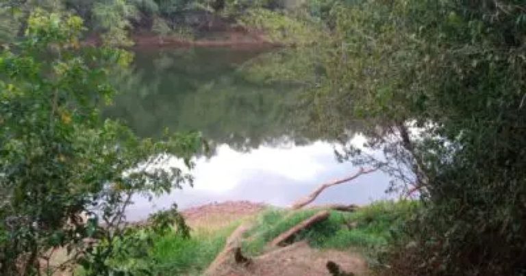 Misiones: una nena de 2 años cayó en un arroyo y desapareció, su hermanito de 6 intentó salvarla y murió ahogado