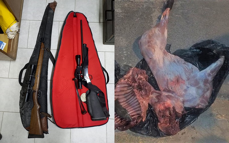 Seguridad Rural demoró a cuatro cazadores en Ruta 11: Les secuestró una camioneta, dos fusiles, municiones y un jabalí faenado