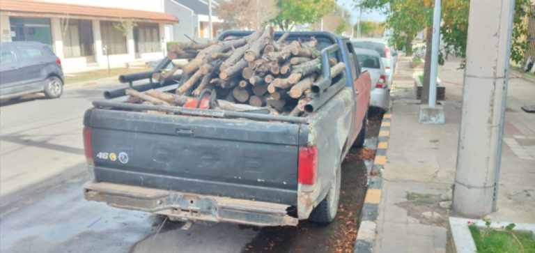 Detienen a dos personas y secuestran una camioneta por el robo de leña en un campo