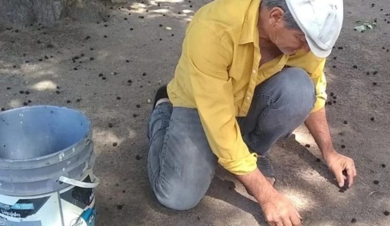 Habla el albañil de Córdoba que demandará a su padre por $100 millones: “Me dijo que yo iba por el dinero”