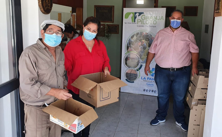 La granja piloto de Catriló entregó más de 10 mil gallinas ponedoras