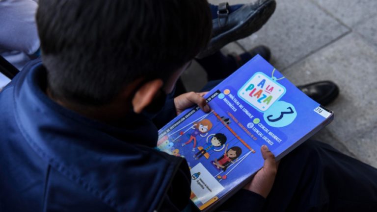 La Pampa recibió 53 mil libros de texto para el nivel Primario