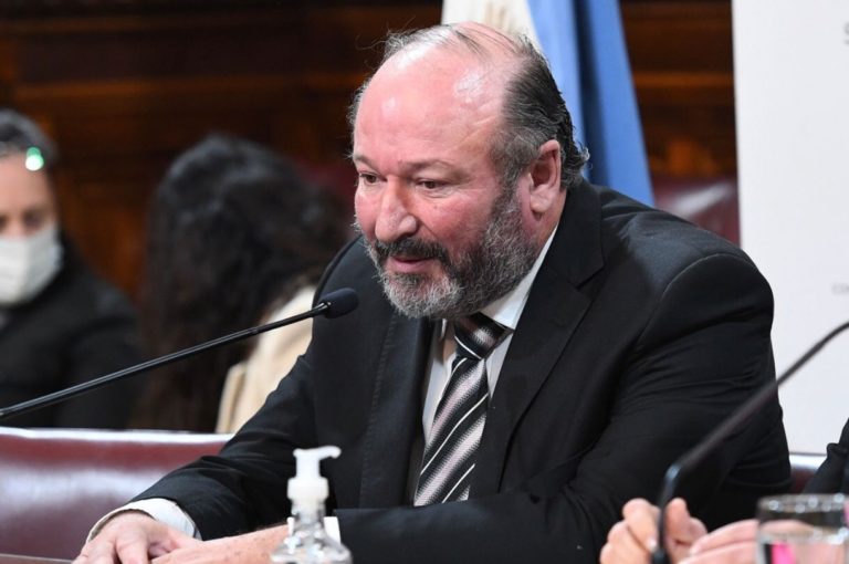 Kroneberger habló sobre la equinoterapia y afirmó que “debe ser un método de rehabilitación accesible”