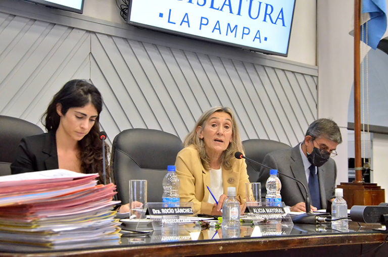 En Diputados se aprobó un proyecto para garantizar el derecho a la identidad biológica: “Habrá un banco de datos genéticos con la elaboración de un registro”
