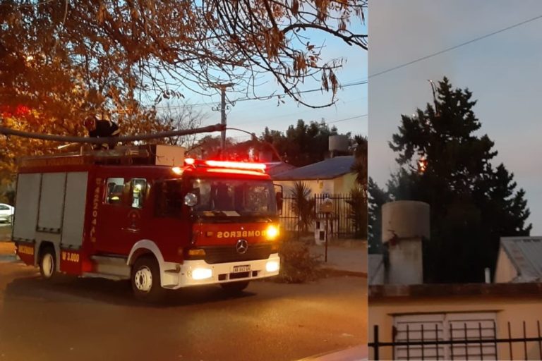 Bomberos sofocaron el incendio de un pino en el patio del Centro Protegido “Corazones Contentos”