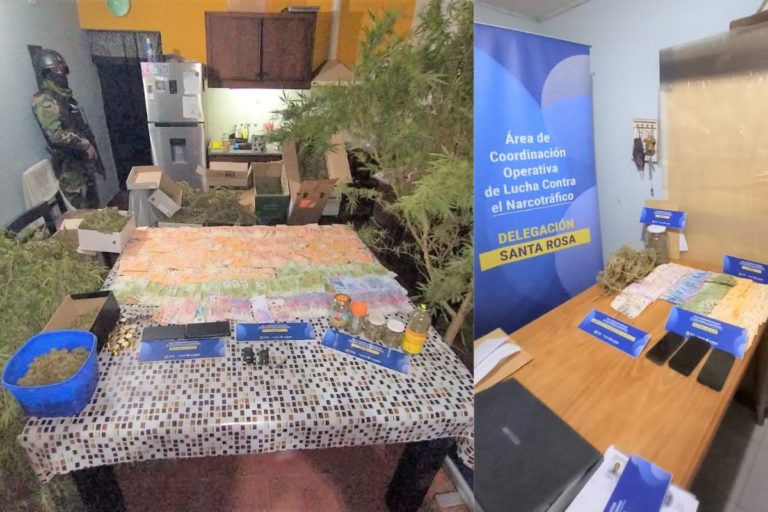 Luego de tres meses de investigación y nueve allanamientos, la Policía detuvo a un importante traficante de drogas en La Pampa