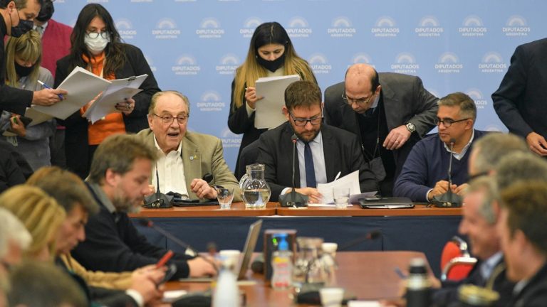 Emitieron dictámenes sobre el proyecto de Boleta Única de Papel