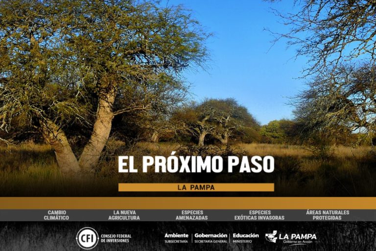 La serie de documentales “El próximo paso” se encuentra disponible online para utilizarlo como propuesta pedagógica en las escuelas
