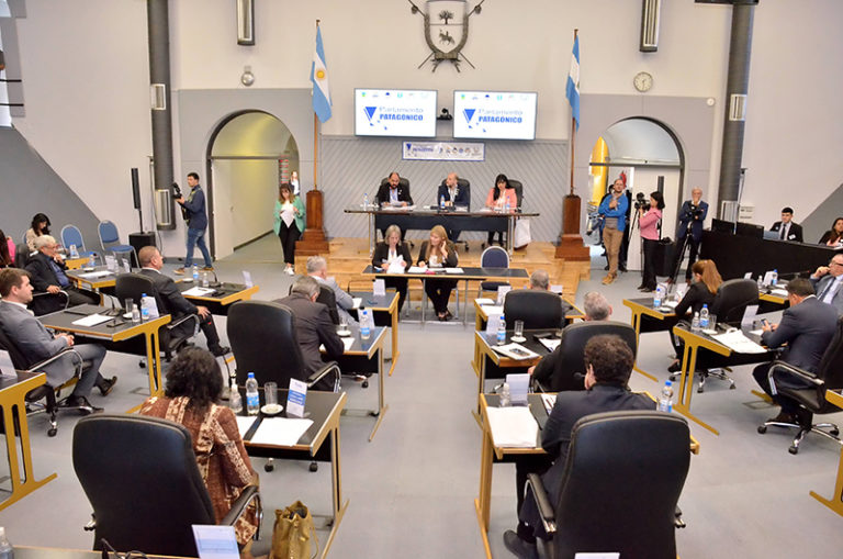 El Parlamento Patagónico sesionó nuevamente con 43 proyectos aprobados y el pedido para crear el programa “Góndola Patagónica”