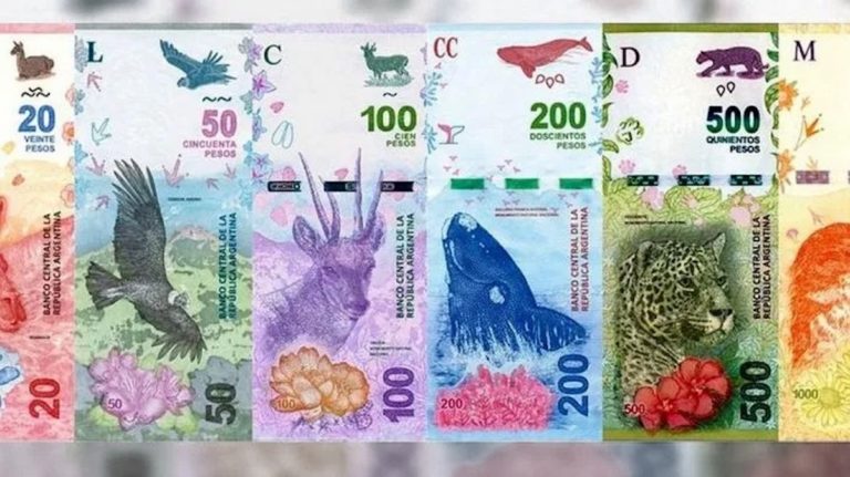 El Gobierno nacional anunciará el reemplazo de los animales de los billetes por próceres