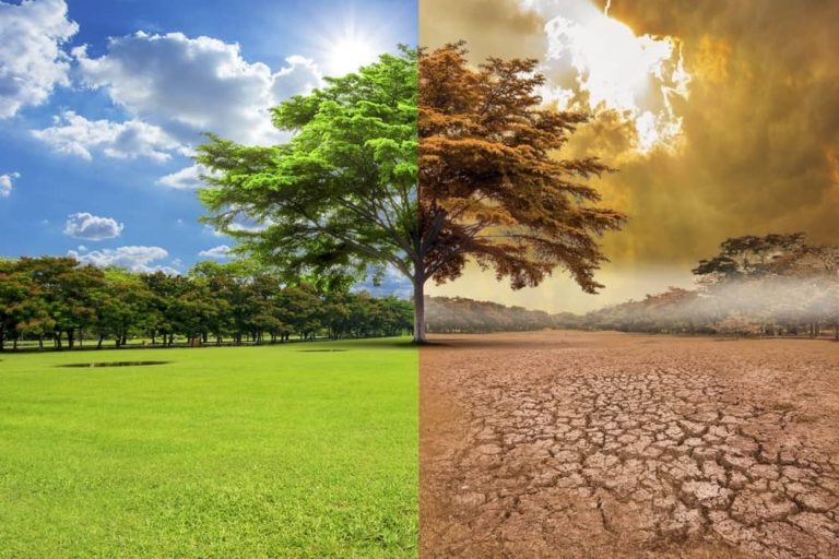 El Gobierno pampeano creó el Consejo Asesor de Cambio Climático: mirá los detalles