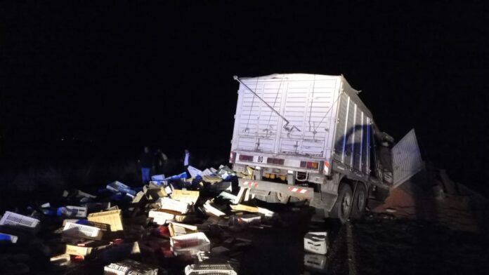 Camionero pampeano murió en un choque frontal en la Ruta 65