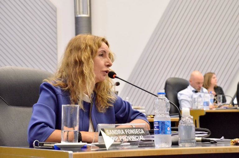 Piden que se implemente el sistema “Scoring” para las licencias de conducir