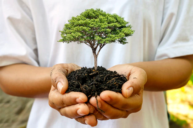 Está vigente el Programa Provincial de Forestación Urbana y Periurbana