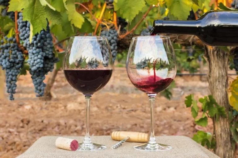En junio se realizará la primera Jornada Pampeana de Vitivinicultura
