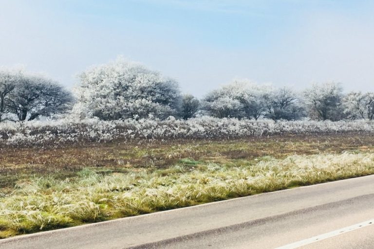 Arrancó el invierno con un marcado descenso de temperaturas: ¿Qué pasará en La Pampa?