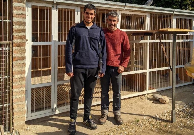 Colombofilia en General Pico: Alas Piquenses y Don Pedro, los más rápidos de la fecha