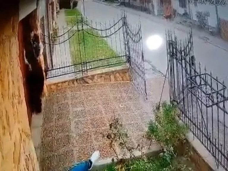 Bahía Blanca: un abuelo tuvo que matar a su nieto para salvar su vida