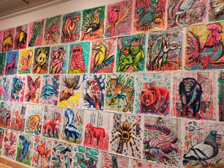 En Medano se podrá disfrutar la muestra de arte “Mundo Animal”