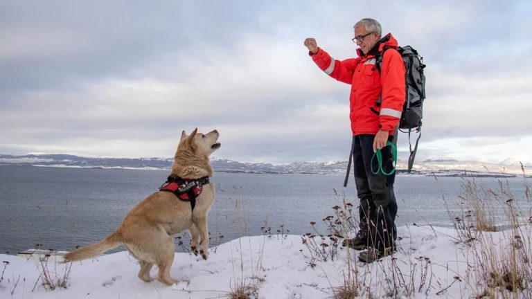 Un perro salvó a un esquiador que quedó sepultado bajo un metro y medio de nieve por una avalancha en Ushuaia