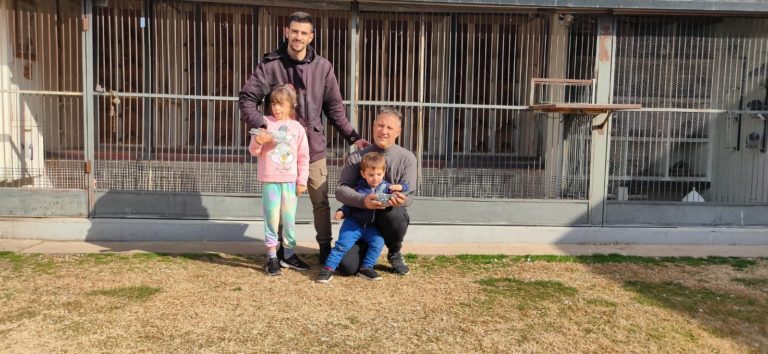 Colombofilia: “El Chasqui” venció desde San Miguel del Monte
