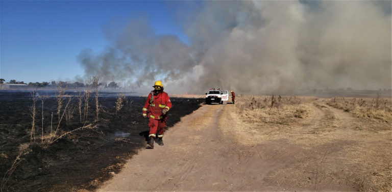 Tres dotaciones de Bomberos trabajan en incendio de pastizales de gran magnitud en calle 319 y 312