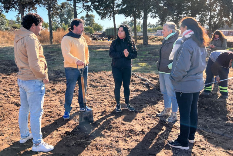 Plantaron fresnos y pinos en un predio de zona Sur: “Nuestra intención es seguir mejorando el barrio”