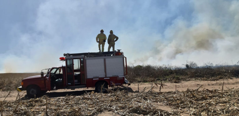 Importante incendio en campo de rastrojo de maíz entre General Pico y Trebolares: Bomberos trabajan en el lugar