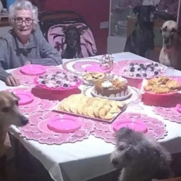 Cumplió 89 años y festejó con sus 10 perros sentados en la mesa