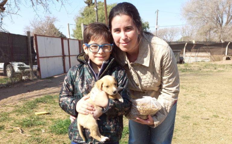 Fomentan la adopción responsable en General Pico: “Dejaron más de 30 cachorros abandonados, hacemos un llamado a la responsabilidad”