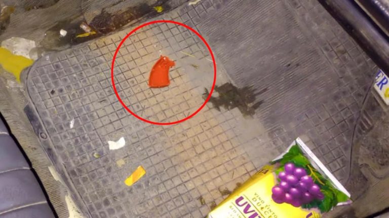 La Matanza: policías que se dirigían al operativo en el domicilio de Cristina Kirchner mataron a un ladrón que intentó robarles
