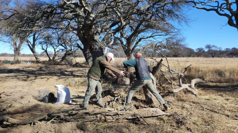 Creación del cuerpo de guardaparques de La Pampa: “Sin ellos no hay conservación”
