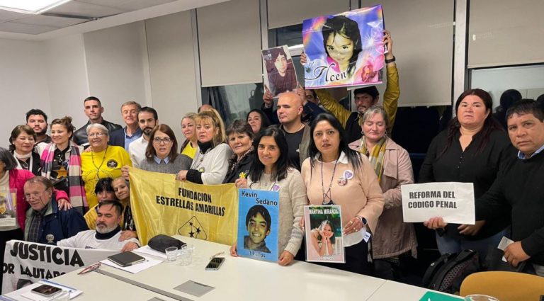 Desde “Estrellas Amarillas” junto a familiares de víctimas estuvieron en Diputados para pedir la reforma de la Ley de Tránsito y el Código Penal