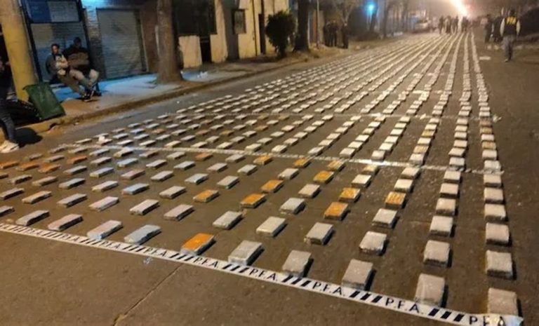 Video y fotos: así amanecieron los vecinos de Rosario, con una “alfombra blanca”