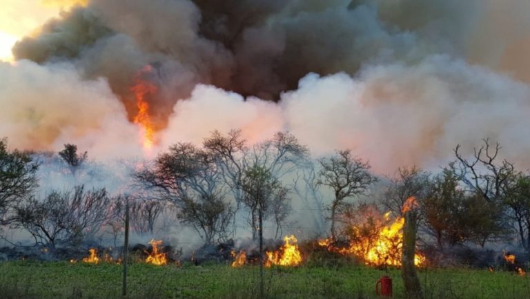 Finalizó la temporada de quema de bosque y monte en La Pampa